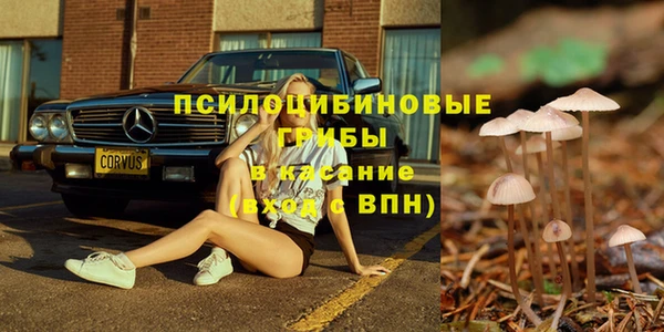 бошки Абинск